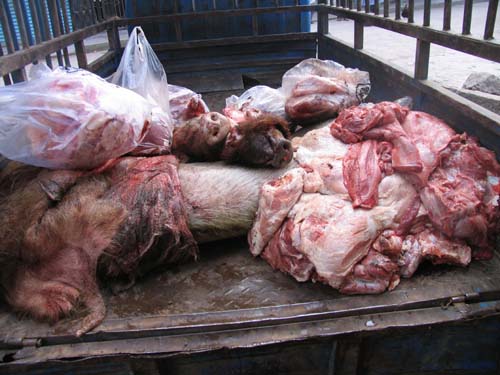 <사진= 죽은돼지 고기 24톤 4개 성에 불법유통>