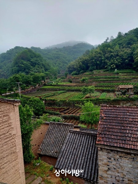 Weixin+Image_20250529204708.jpg
