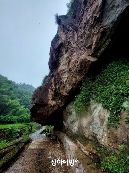 Weixin+Image_20250529204806.jpg