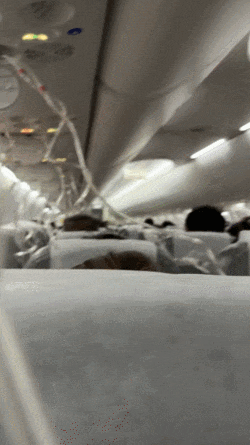 8545-gif551663c23265523848eb44e6b3618c31.gif
