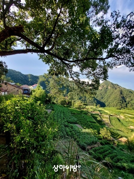 Weixin+Image_20250911205601.jpg