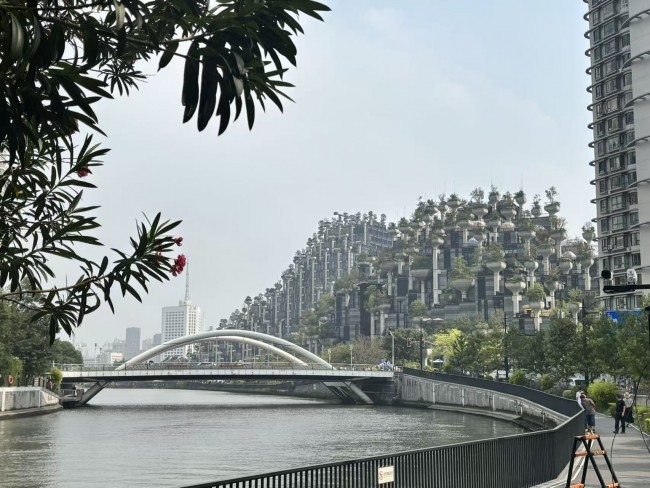 1000+trees+-.jpg
