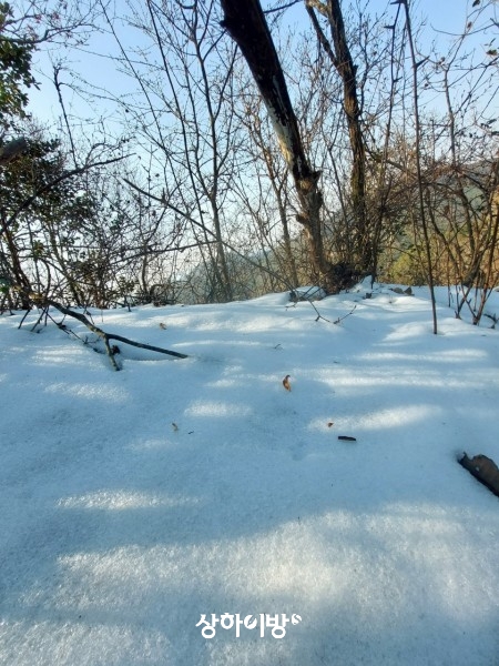 Weixin+Image_20260205174451.jpg