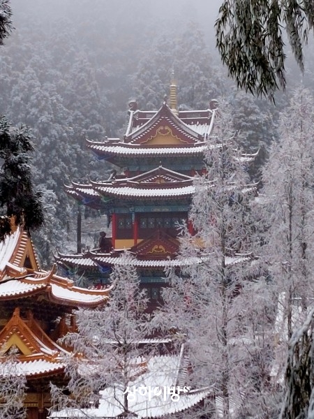 Weixin+Image_20260226193124.jpg