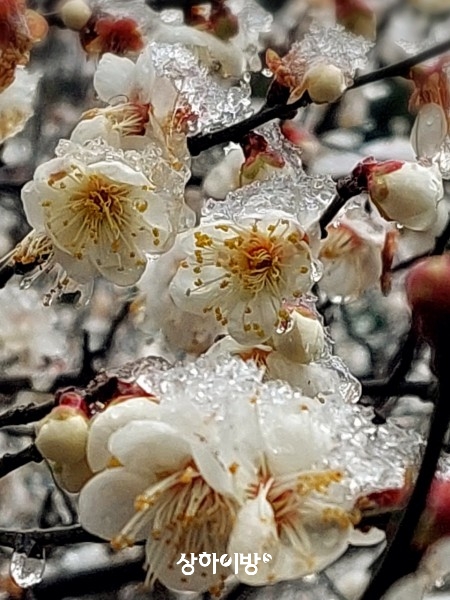 Weixin+Image_20260226193139.jpg
