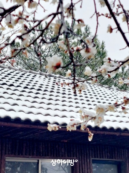 Weixin+Image_20260226193150.jpg