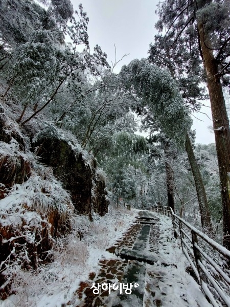 Weixin+Image_20260227221358.jpg