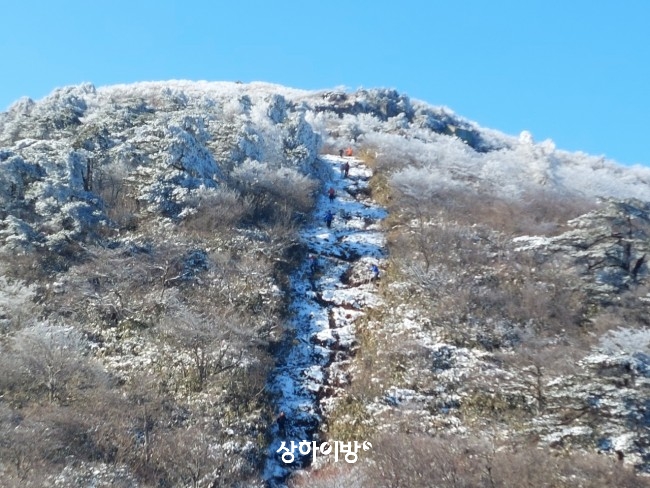 Weixin+Image_20260227221332.jpg