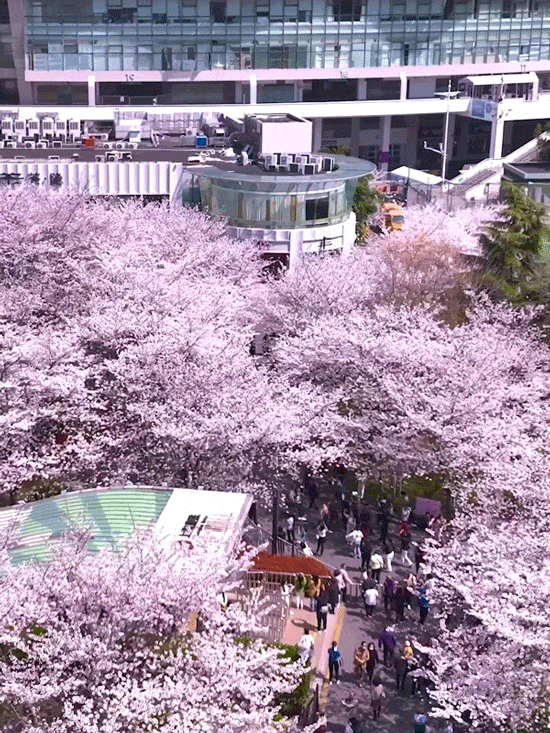 03.2.gif