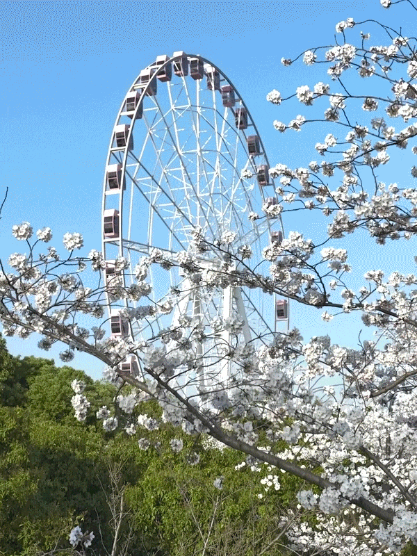 04.1.gif
