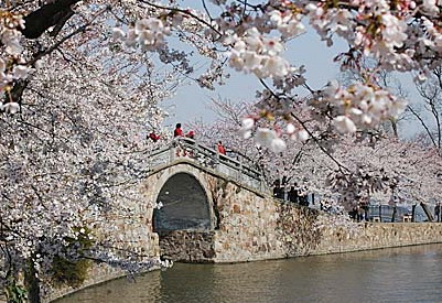 20064242179.jpg