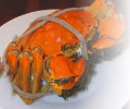 200610305972.jpg