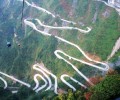 20061095584.jpg