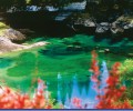20061166136.jpg