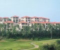 20061286718.jpg