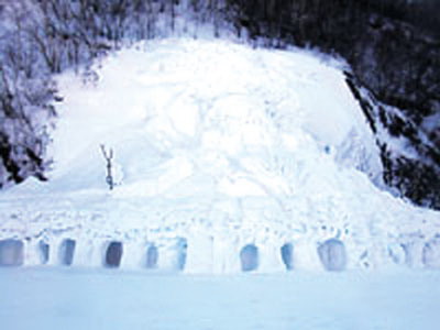 2007217483.jpg