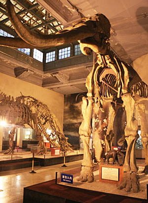 2007297596.jpg