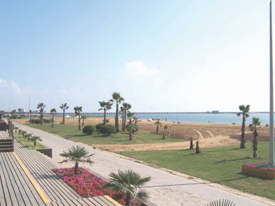 20075219069.jpg