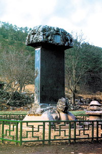 2007729751.jpg