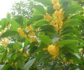 2007102911330.JPG