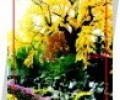 200712311749.jpg
