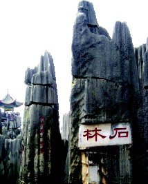 20081812334.jpg