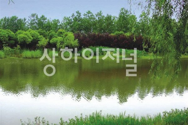 봄날의 외출 - 浦东, 徐汇 편