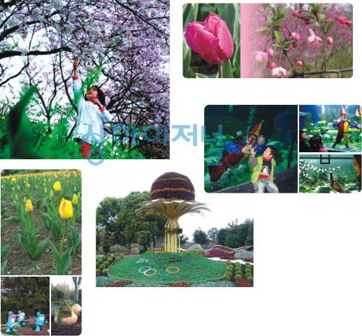 200841413579.jpg
