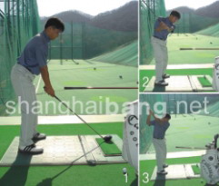 2008102316104.jpg