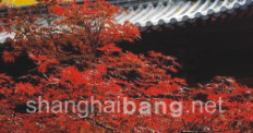 2008102716151.jpg
