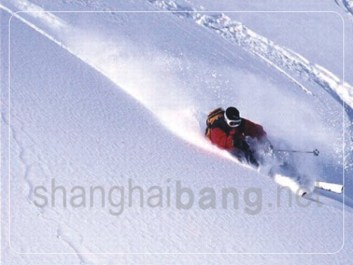 2008122217017.jpg
