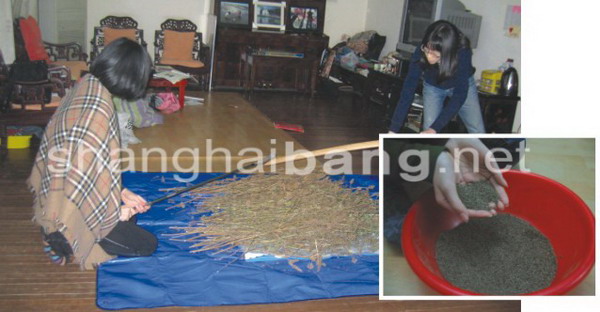2008122217041.jpg
