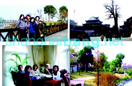 2008122817079.jpg