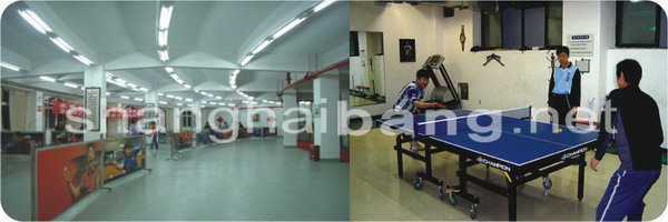 200881815250.jpg