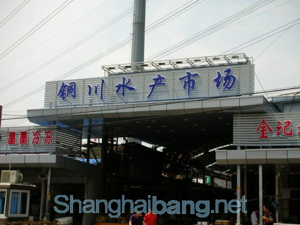 20090730153114_9720.jpg
