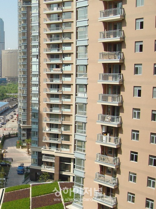 20091012143315_2225.jpg