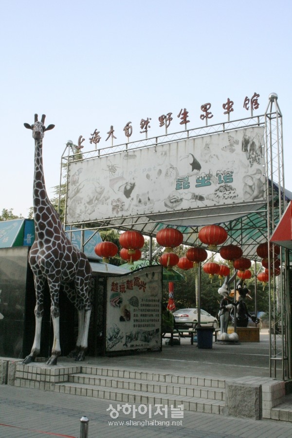 20091029143057_1143.jpg