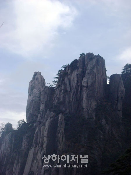20091118100656_3939.jpg