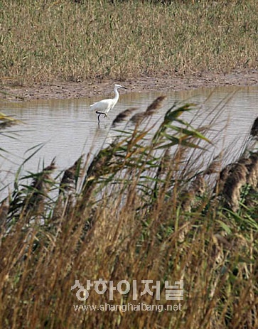 20091208121540_5763.jpg