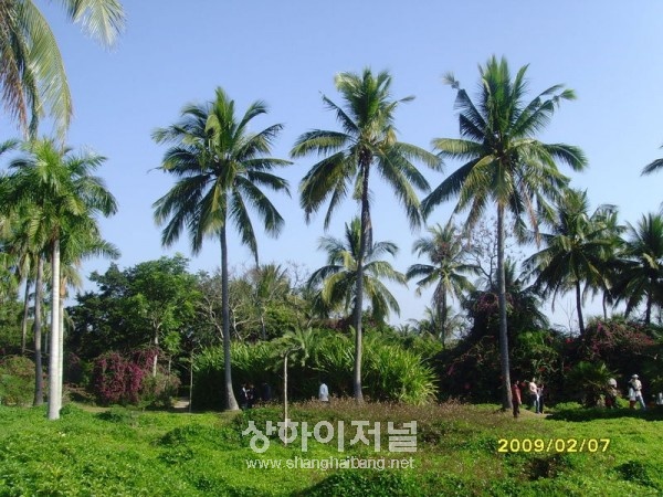 20100106152948_8707.jpg