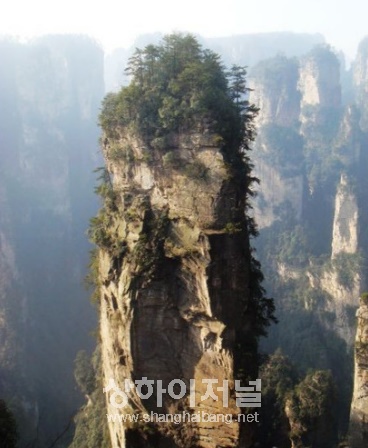20100126163357_7838.jpg
