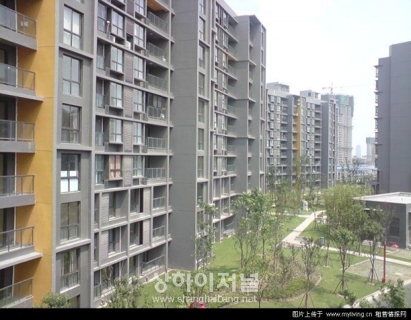上海人, 집사러 쿤산으로