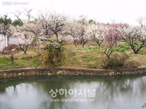 20100209184358_4228.jpg