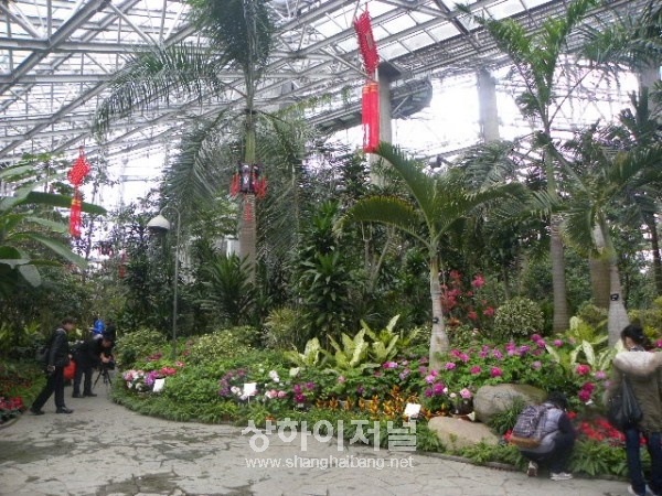 20100211183712_8078.jpg