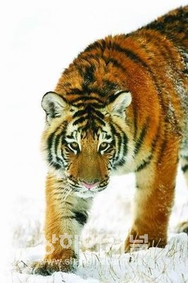 20100312153503_3704.jpg