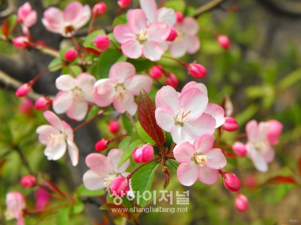 20100401125943_3179.jpg