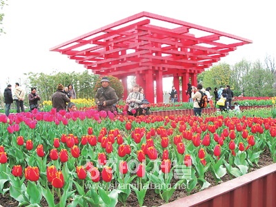2010 상하이 꽃 전시회- 상하이식물원(上海植物园)