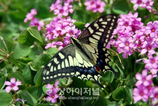 20100514172114_1431.jpg