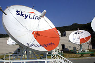 20100616152614_6932.jpg