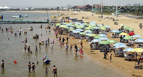 20100709102438_7096.jpg